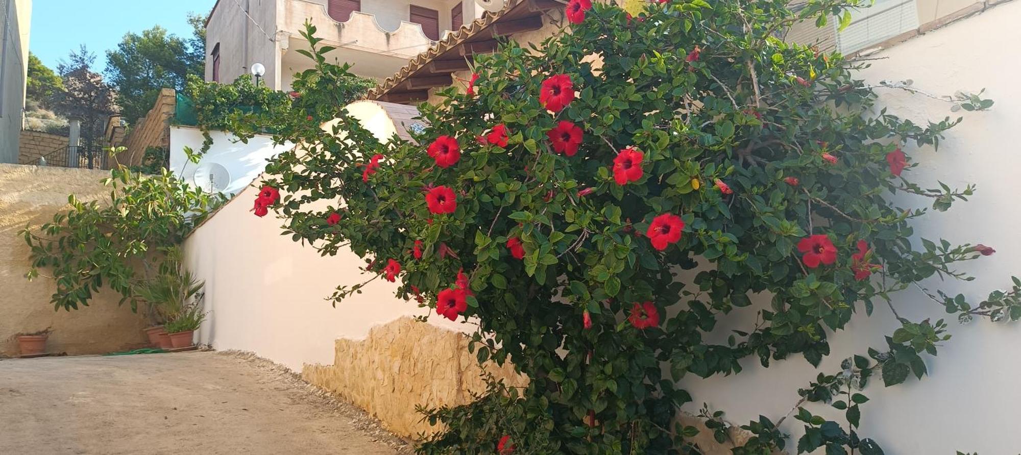 Bed and Breakfast Al Faro Realmonte Exterior foto